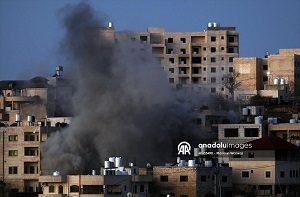 وكالة الأناضول للأنباء